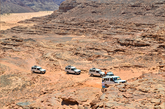 Nomad Safari